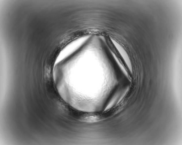 X0000084550610200703161648