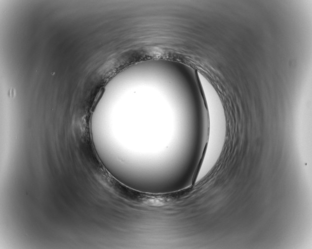 X0000084550611200703161648