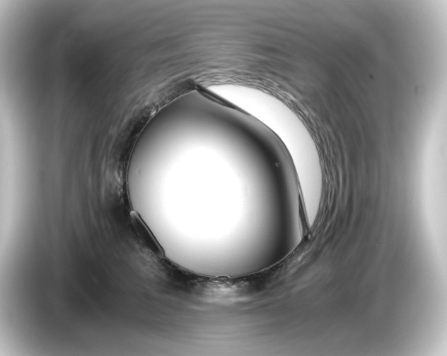 X0000084550613200703161648