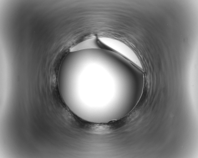 X0000084550617200703161647