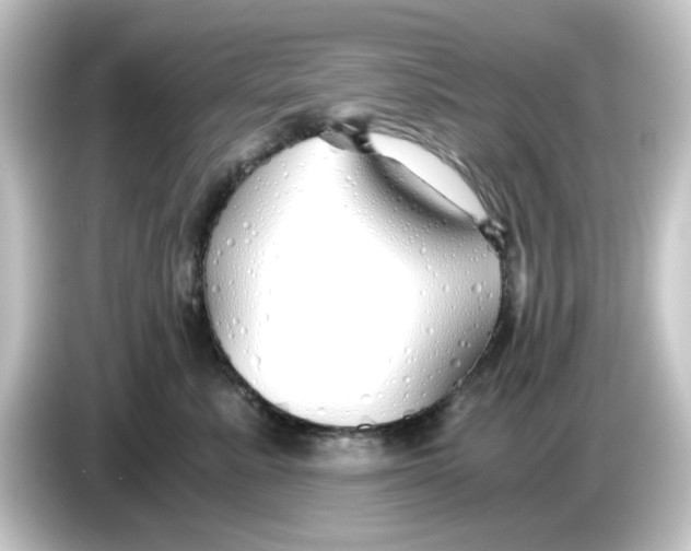 X0000084550619200703161647