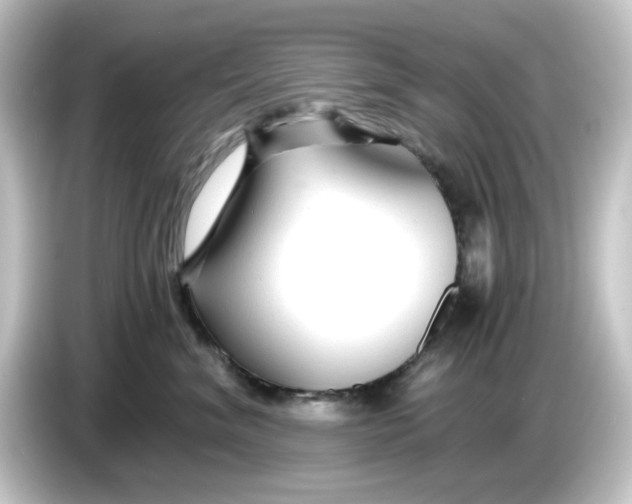 X0000084550620200703161647