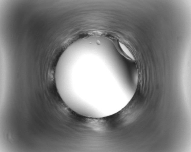 X0000084550621200703161647