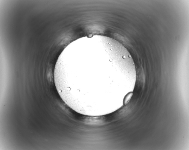 X0000084550622200703161647