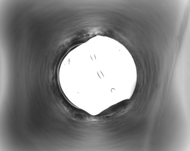 X0000084550624200703161647