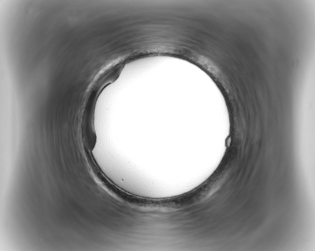 X0000084550625200703161647