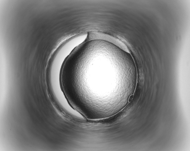 X0000084550626200703161647