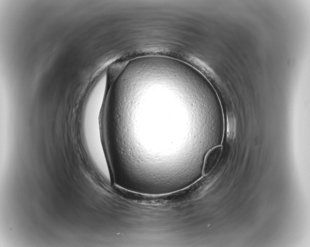 X0000084550627200703161647