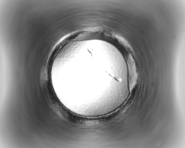 X0000084550628200703161647