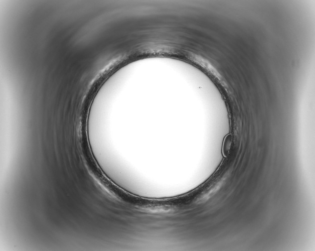 X0000084550629200703161647