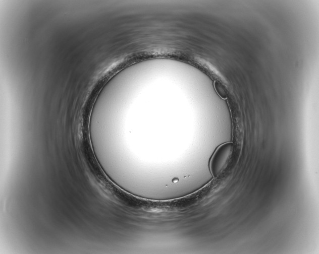 X0000084550631200703161647