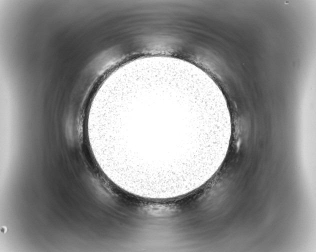 X0000084550632200703161647