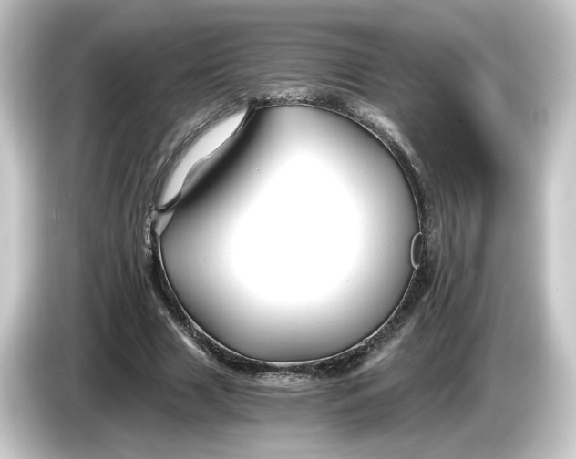 X0000084550633200703161647