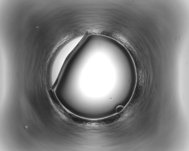 X0000084550634200703161647