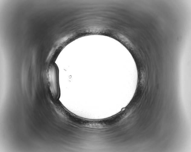 X0000084550636200703161647