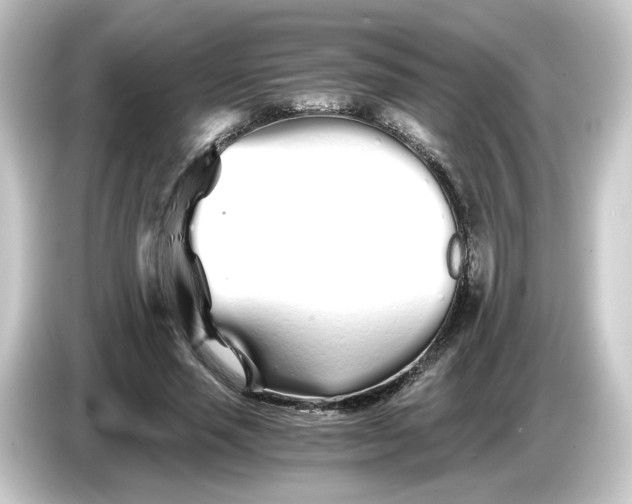 X0000084550637200703161647