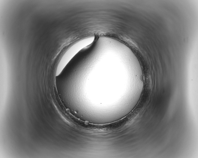 X0000084550638200703161647