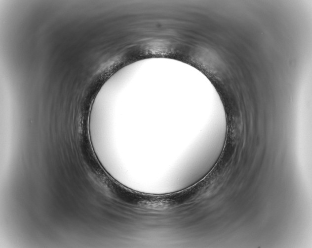 X0000084550639200703161647