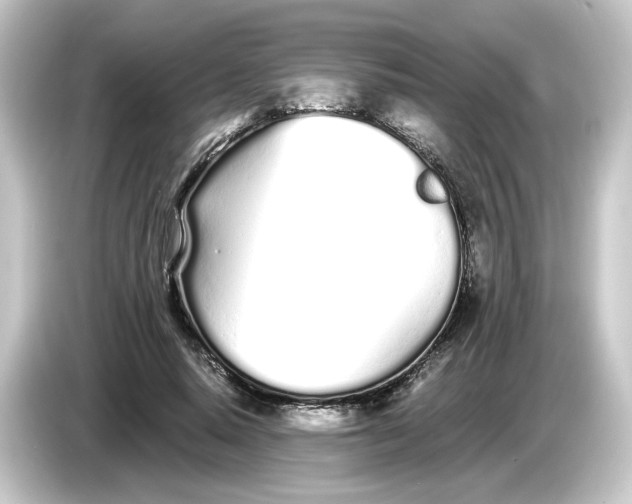 X0000084550640200703161647