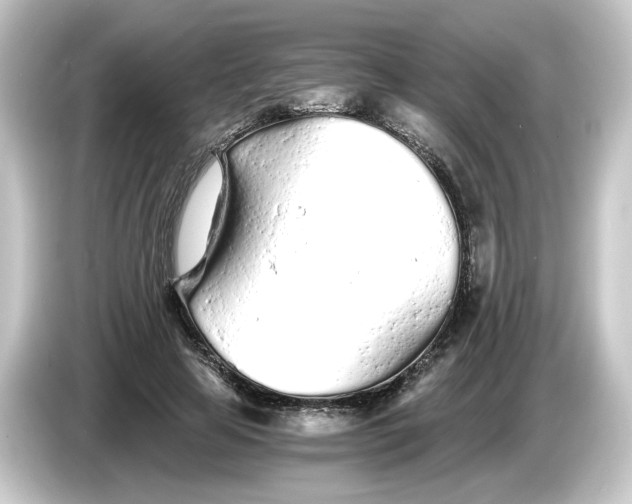 X0000084550641200703161647