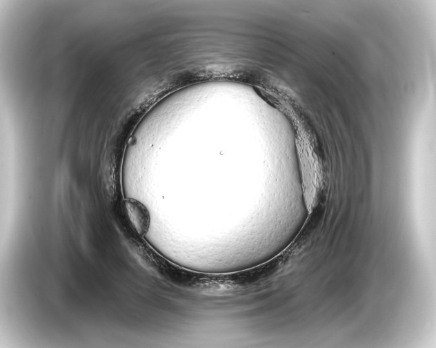 X0000084550642200703161647