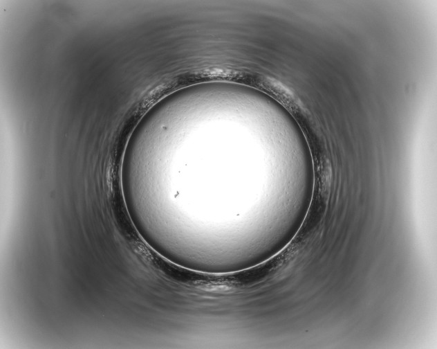 X0000084550643200703161647