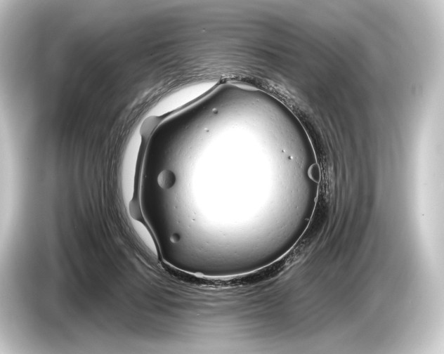 X0000084550644200703161647