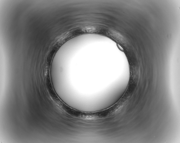 X0000084550645200703161647