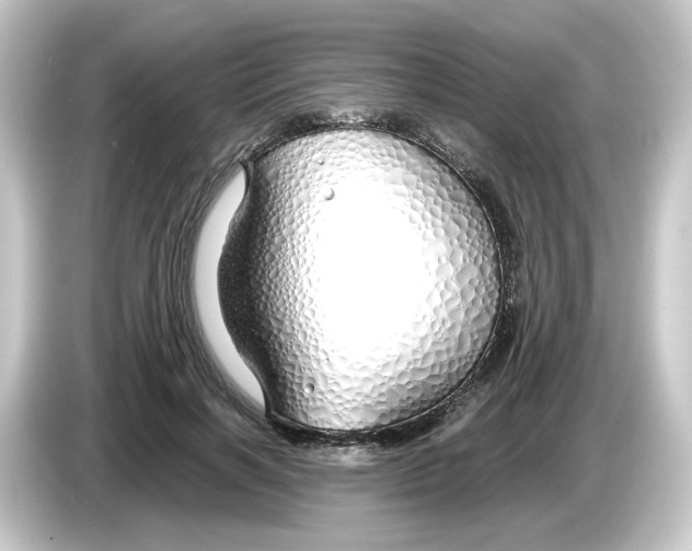 X0000084550646200703161647