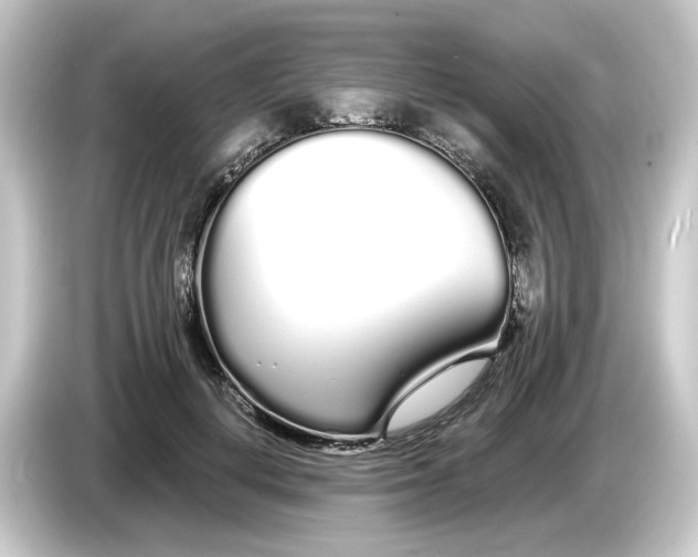 X0000084550648200703161647