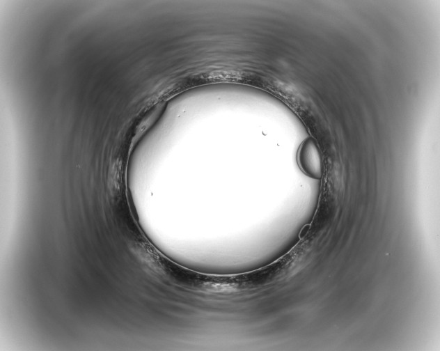 X0000084550649200703161647