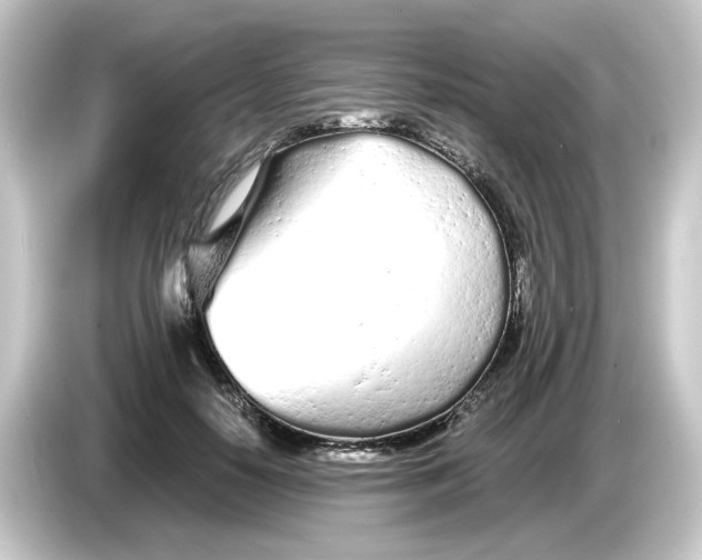 X0000084550650200703161647