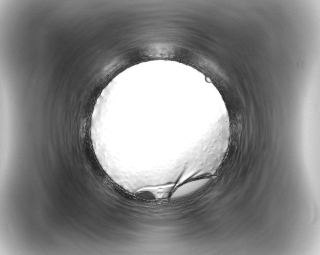 X0000084550652200703161647