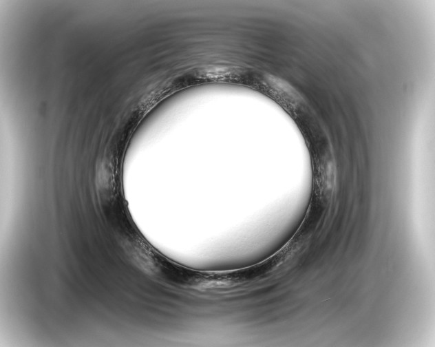 X0000084550653200703161647