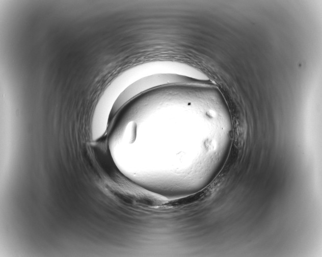 X0000084550654200703161647