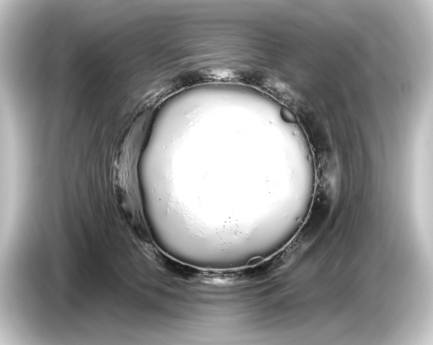 X0000084550658200703161647