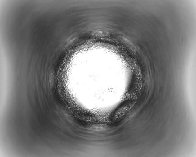 X0000084550659200703161647