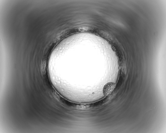 X0000084550660200703161647