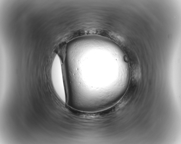 X0000084550661200703161647