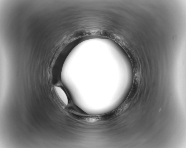 X0000084550662200703161647