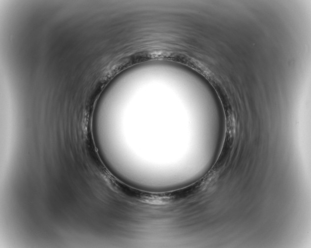 X0000084550664200703161647