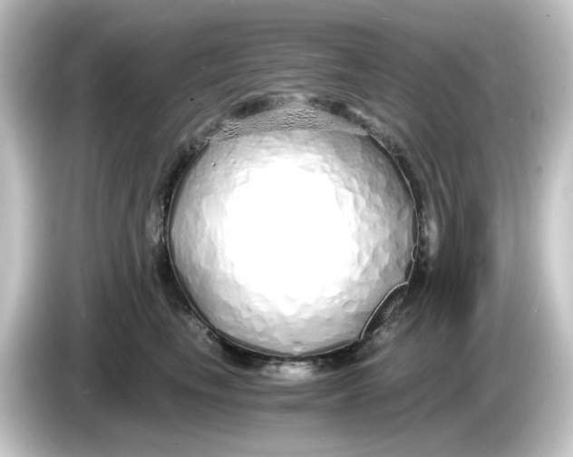 X0000084550665200703161647