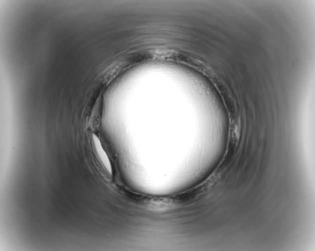 X0000084550666200703161647