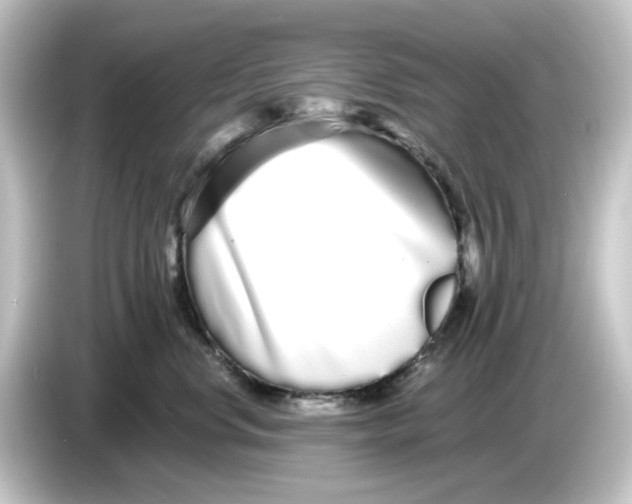 X0000084550668200703161647