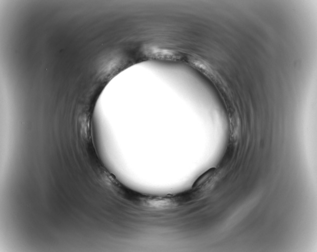 X0000084550669200703161647