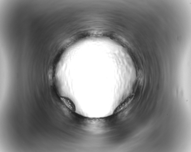 X0000084550670200703161647