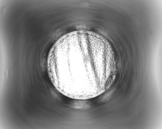 X0000084550671200703161647