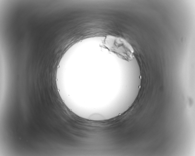 X0000084550672200703161647