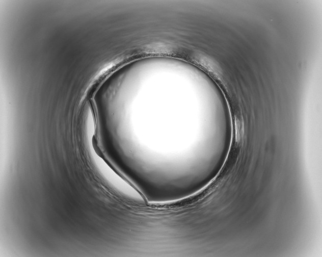 X0000084550675200703161647