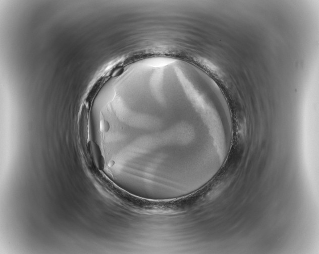 X0000084550678200703161647